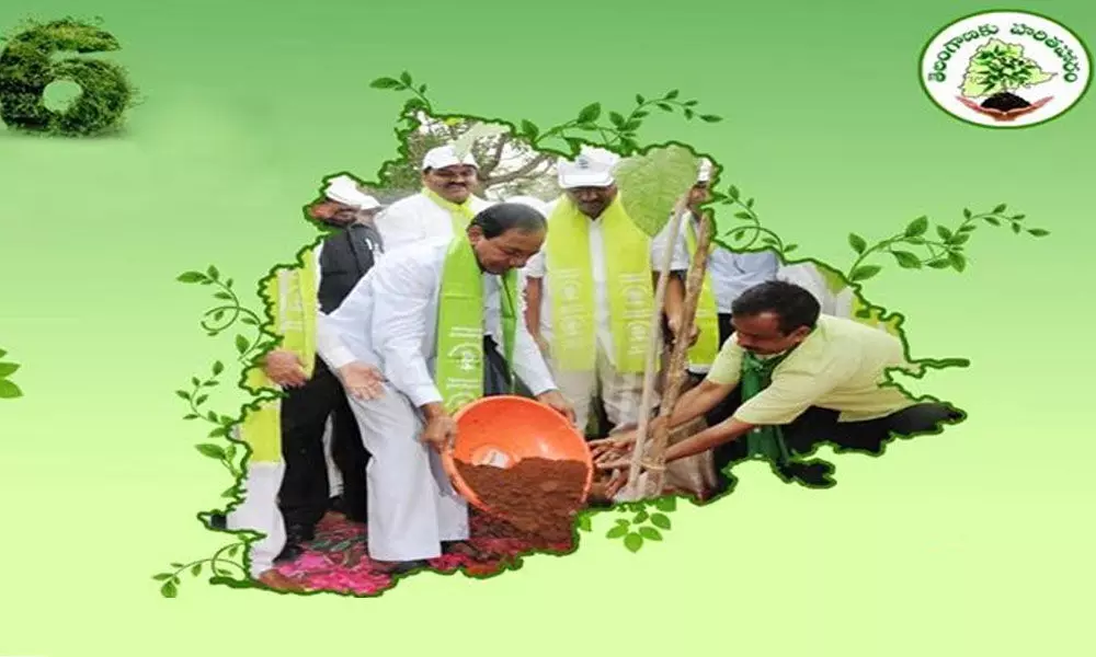 Telangana government adopting innovative, inclusive green practices
