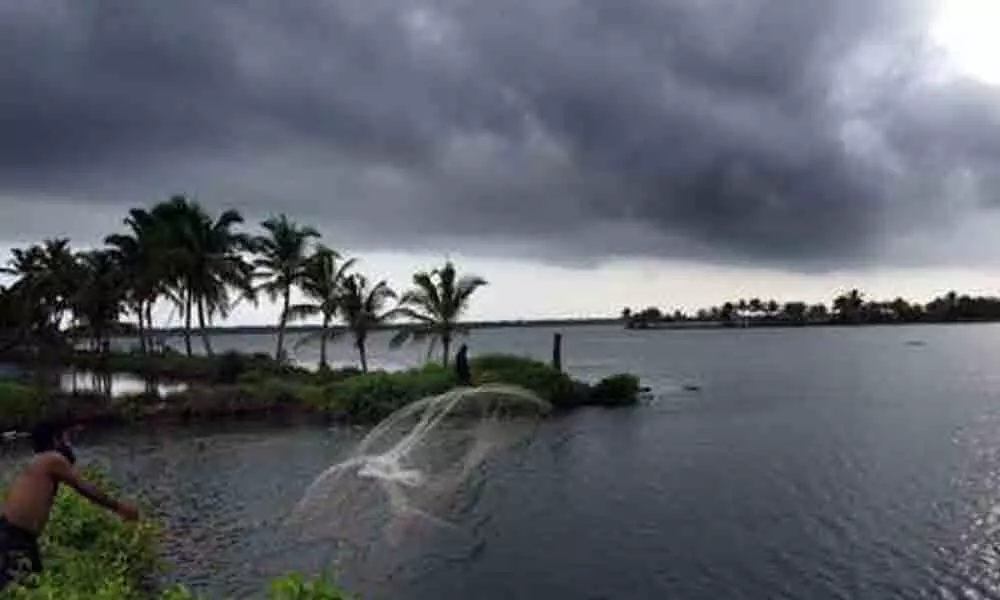 Southwest monsoon revives; IMD predicts widespread rainfall