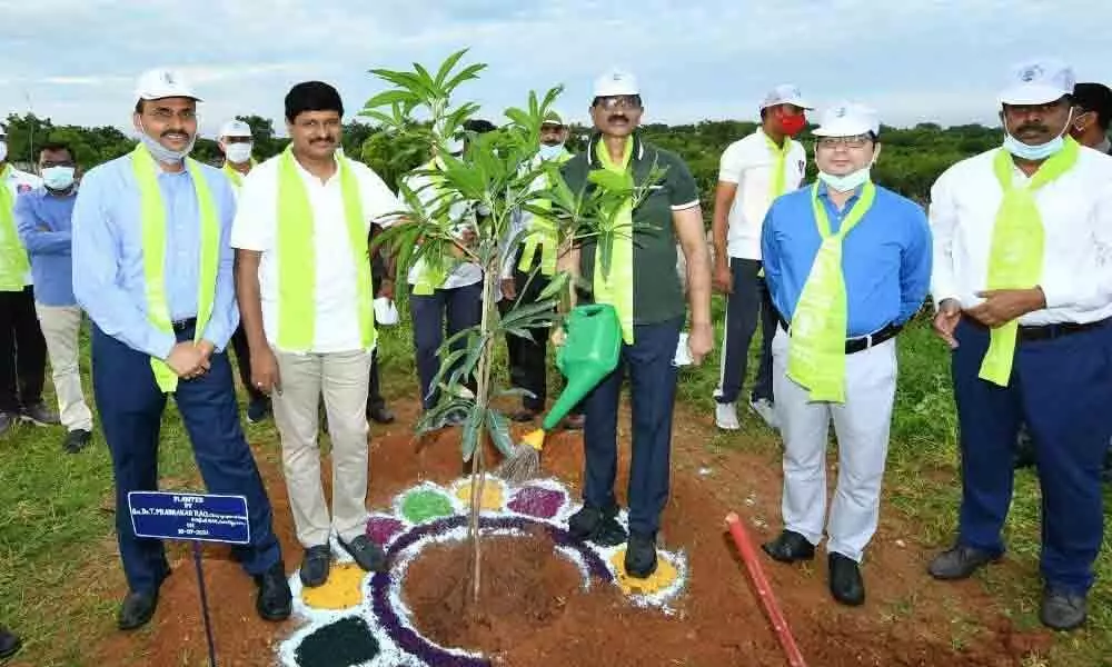 MP Joginapally Santosh Kumar planting a sapling on the premises of IITA on Saturday