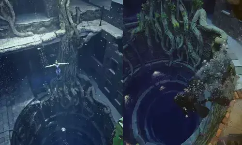 Screen Grab from Video tweeted by @HamdanMohammed