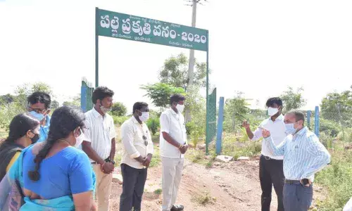 District Collector Prashant Jeevan Patil inspecting the Palle Pragathi works on Saturday