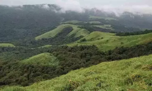 Vast forest land in Shivamogga open to encroachment as govt fails to act on HC order