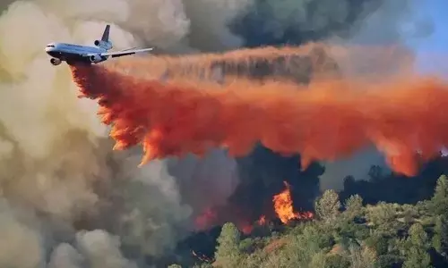 Two US firefighters killed while battling wildfire