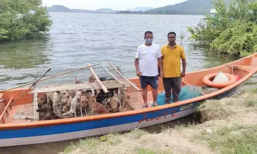Animal lovers with rescued stray dogs from flooded tribal villages of  Devipatnam mandal in East Godavari district