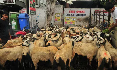 Eid-ul-Adha will be celebrated across Telangana and Andhra Pradesh on July 21