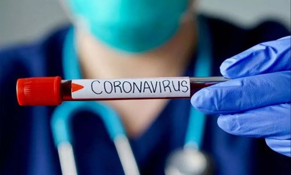 Andhra Pradesh Coronavirus update