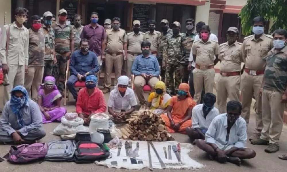 Lockdown comes as blessing in disguise for sandalwood thieves in MM Mills