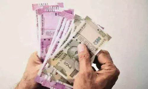 Government Employees