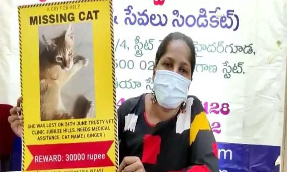 The cat owner declares reward for her missing pet in Hyderabad on Tuesday