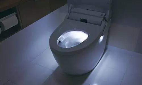 Hi-tech toilets can turn antibiotic-resistant superbug spreaders