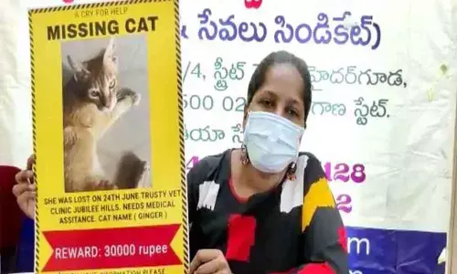 The cat owner declares reward for her missing pet in Hyderabad on Tuesday