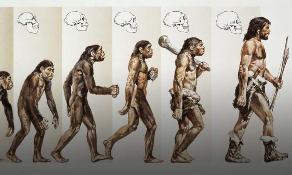 Latest China Study Sheds New Light On Human Evolution   1088490 Hum 