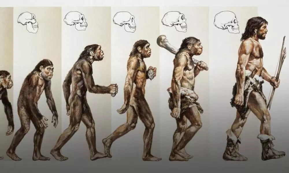 Latest Chinas study on human evolution