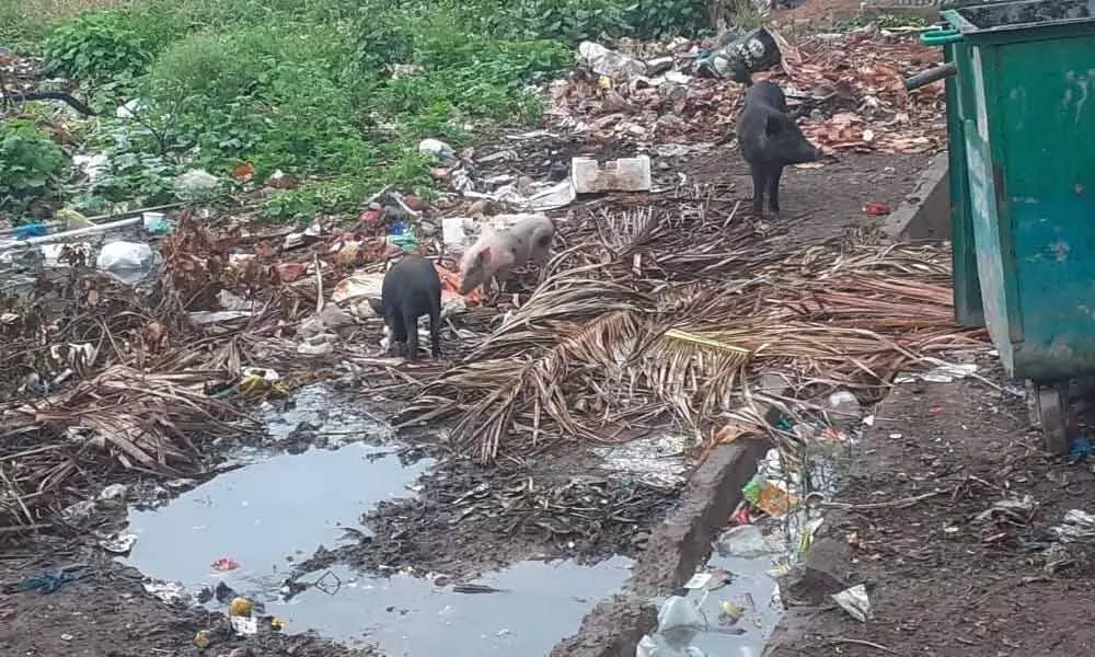 Garbage piles up as civic staff fails to clean roads properly in Anantapur