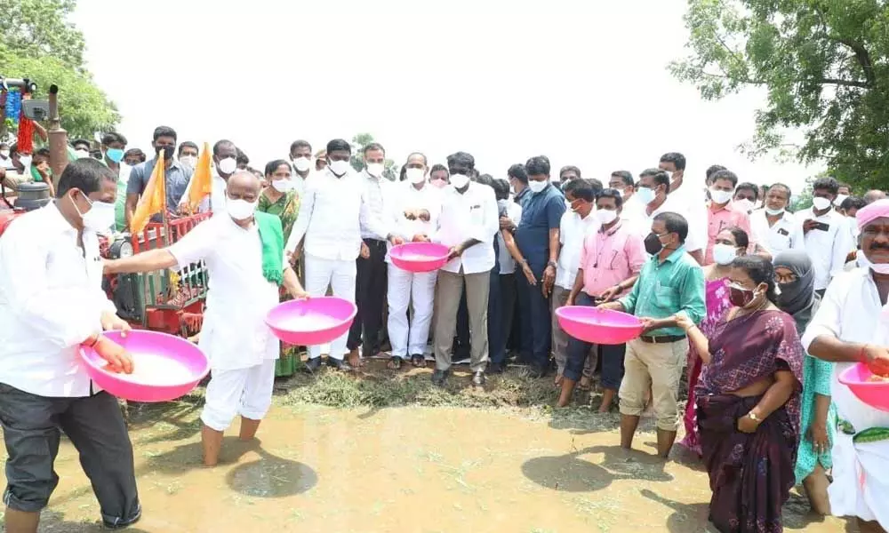 Minister Puvvada Ajay Kumar along with party leaders sows seeds in a paddy field in Khammam on Wednesday