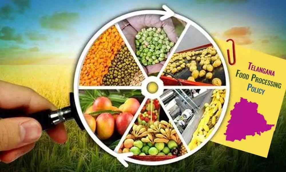 Telangana food processing policy