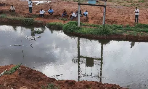 Electric poles, transformers pose impediment to rejuvenation of lakes