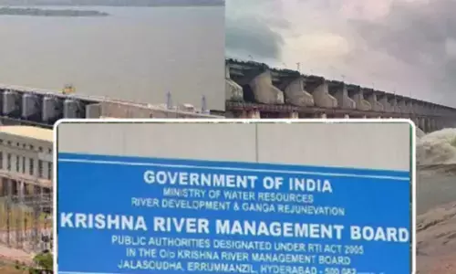 Krishna River Management Board