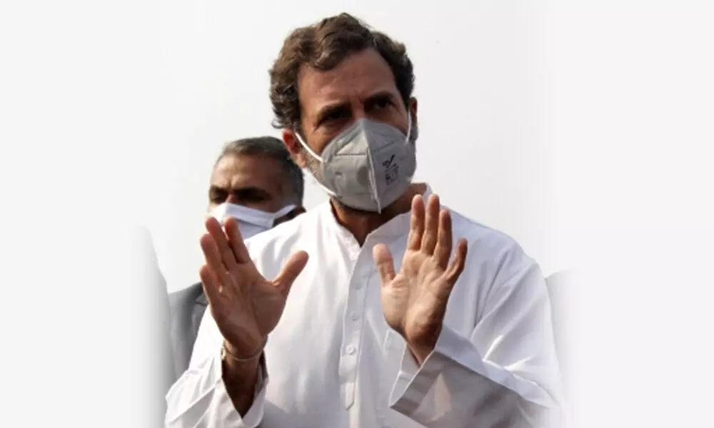 Former Congress President Rahul Gandhi  (Photo/IANS)