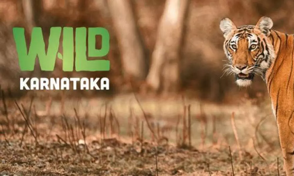 Wild Karnataka documentary