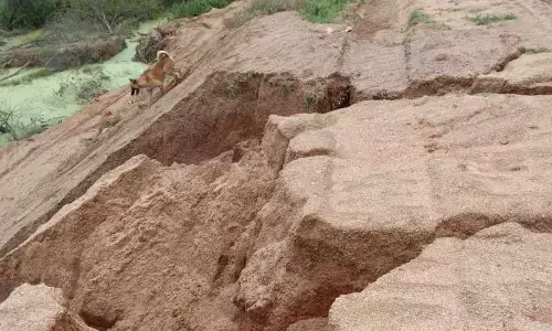 Cracks on Appa Cheruvu bund again worry dwellers