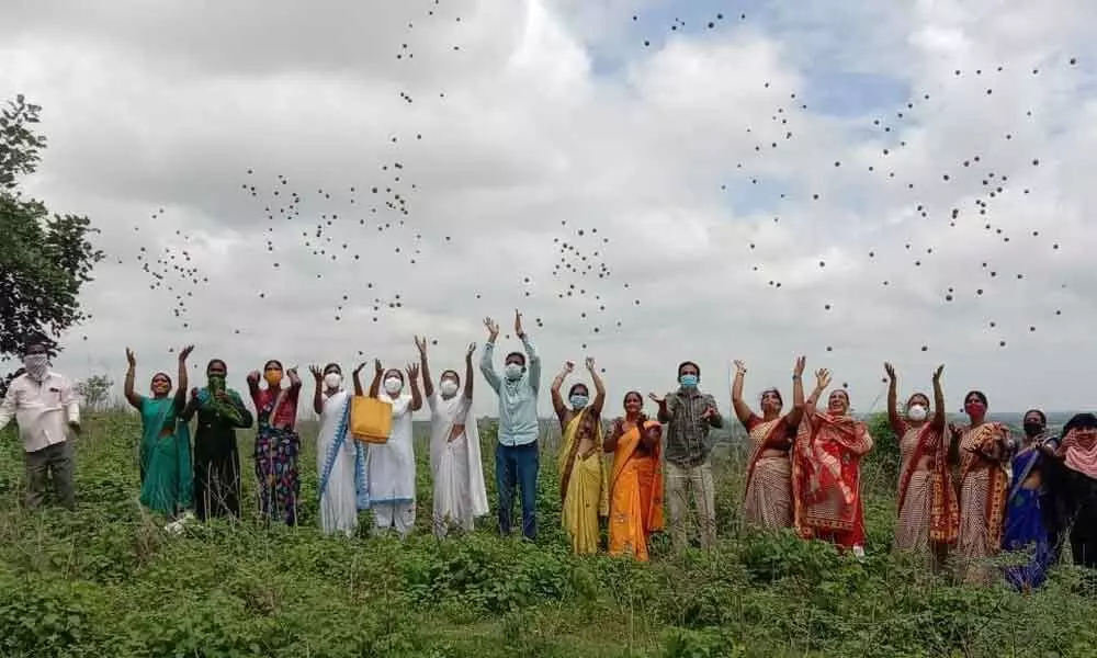 District Collector S Venkat Rao, along with the district staff, throwing seed balls in Palamuru University in Mahabubnagar on Saturday