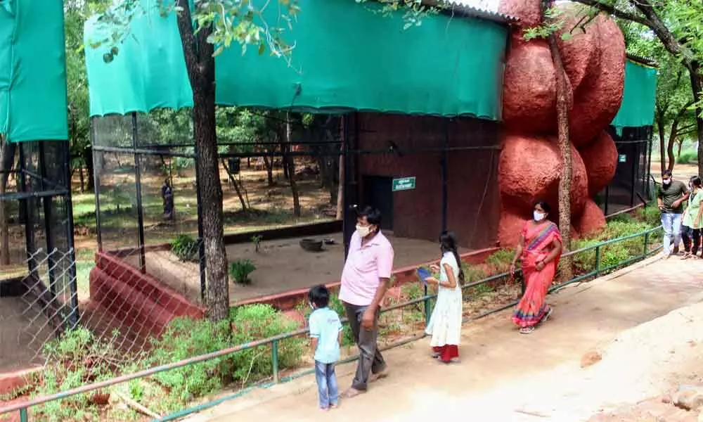 People visiting SV Zoo Park in Tirupati on Monday