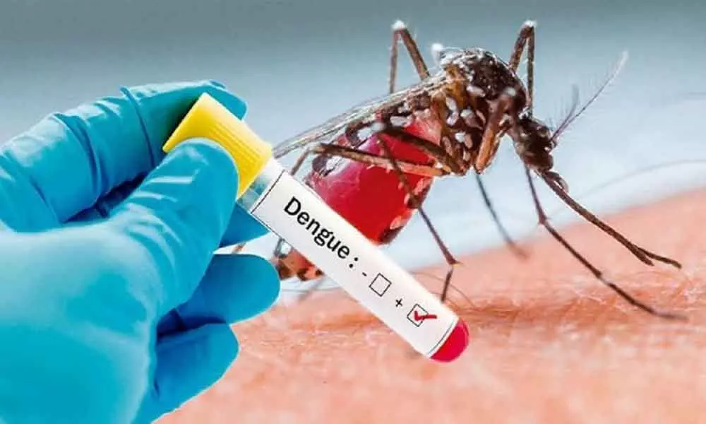 Officials told to be vigilant against dengue outbreak