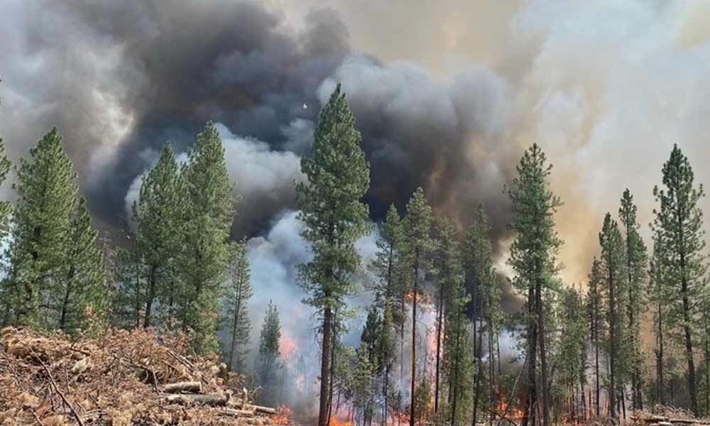 Oregon wildfire scorches area 1.5 times the size of New York City