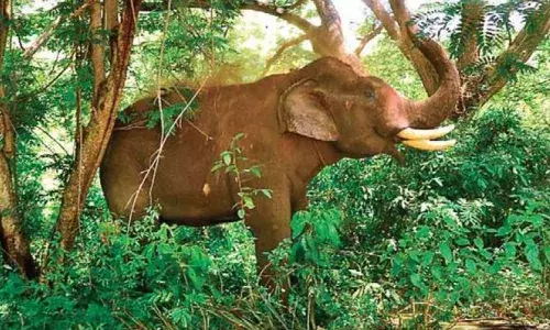 (Picture used for representational purpose only)