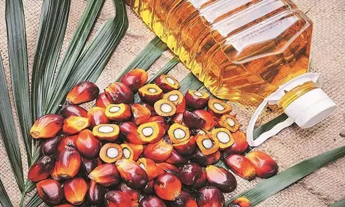 Oil seeds production target not met