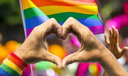 Same sex marriage and Right to Equality