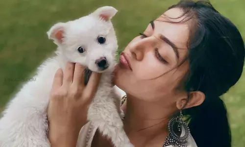 Actress Wamiqa Gabbi