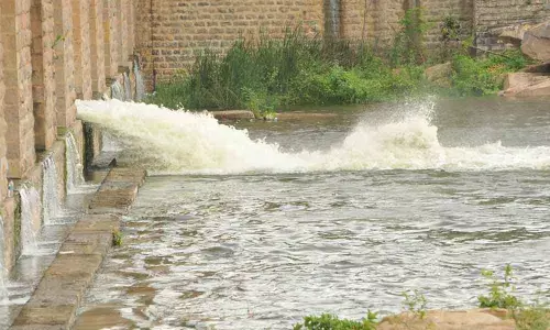 Photo: Srinivas Setty