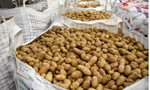 Representational Image