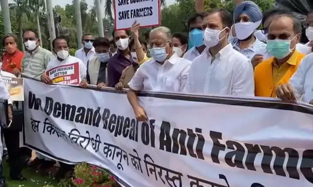 Farmers protest live updates: Rahul Gandhi and other Congress MPs protest at the Parliament in support of farmers.
