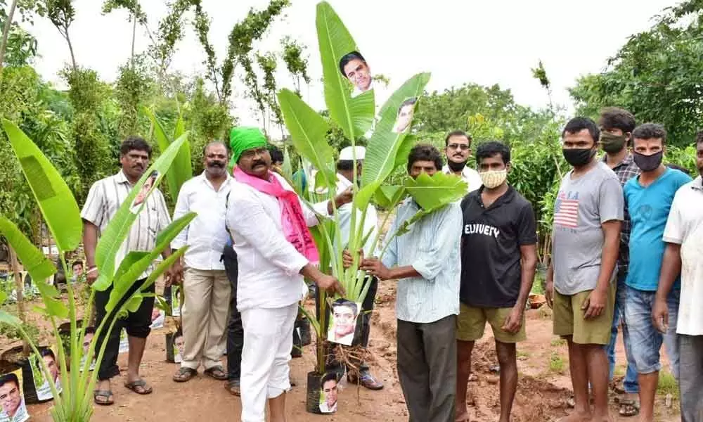Former SAAP Director and TRS leader Rajanala Srihari distributing saplings to people in Warangal on Friday