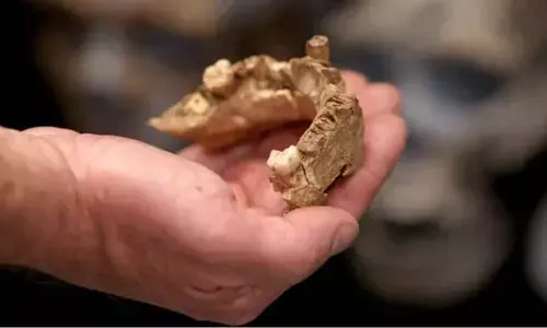 The archaeologists dug 17 trenches at Korkai from where they found cast iron material, glass beads, and signs of industrial activities. (AFP / Representational photo)