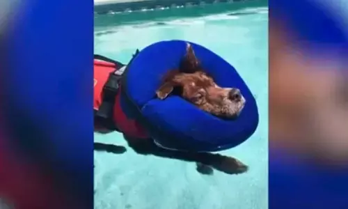 Image Taken from the video clip