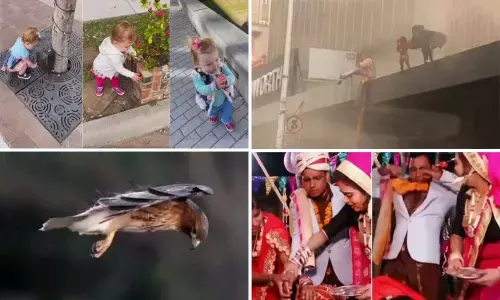 Top Trending Videos Of The Week