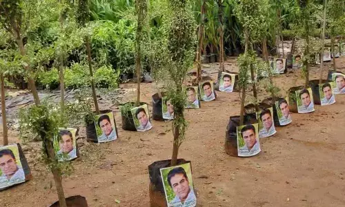 3 crore saplings to be planted on KTRs birthday today