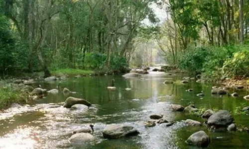 Will State disappoint forest, wildlife grads this time too?