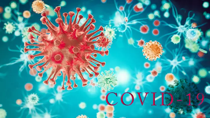 ICMR-NIN has revealed in its report that in Telangana more than 60% of the population have developed antibodies against Covid-19