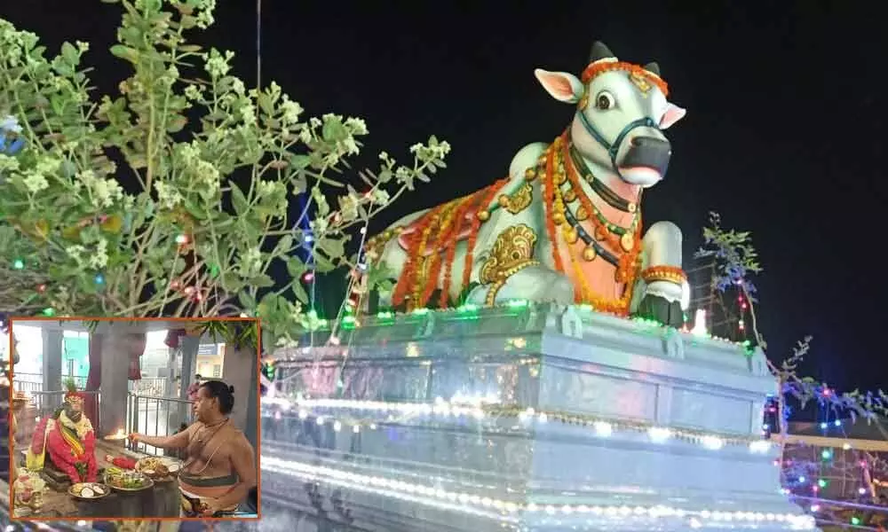 Nandi in front of Pallikondeswara temple; Pradosha puja being performed at Nandi statue in the temple(Inset Pic)