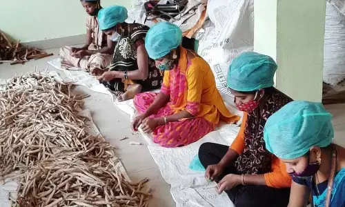 Niti Aayog partner with TRIFED for Van Dhan Yojana