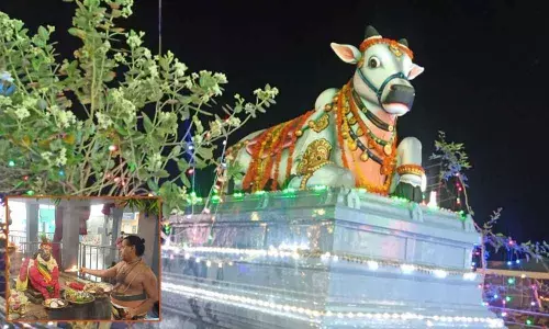 Nandi in front of Pallikondeswara temple; Pradosha puja being performed at Nandi statue in the temple(Inset Pic)