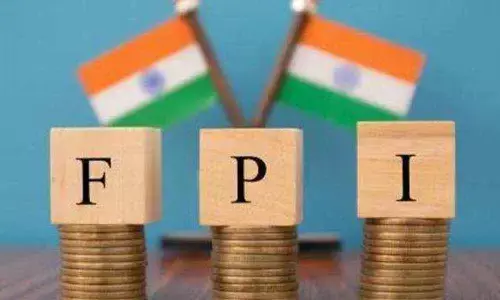 Foreign portfolio investors