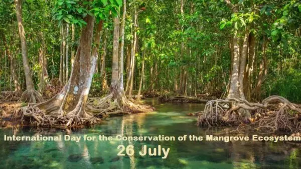 International Mangrove Day -Save & Restore