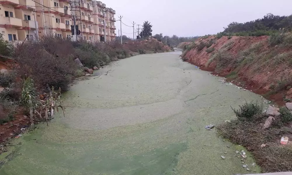 Residents cry foul over borewells spewing contaminated water