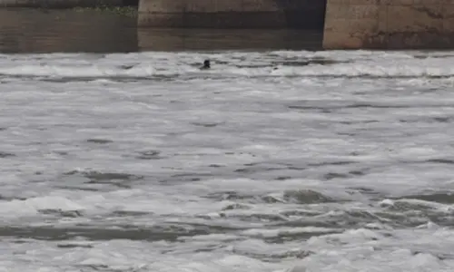 Yamuna not fit for bathing due to lack of minimum flow of water